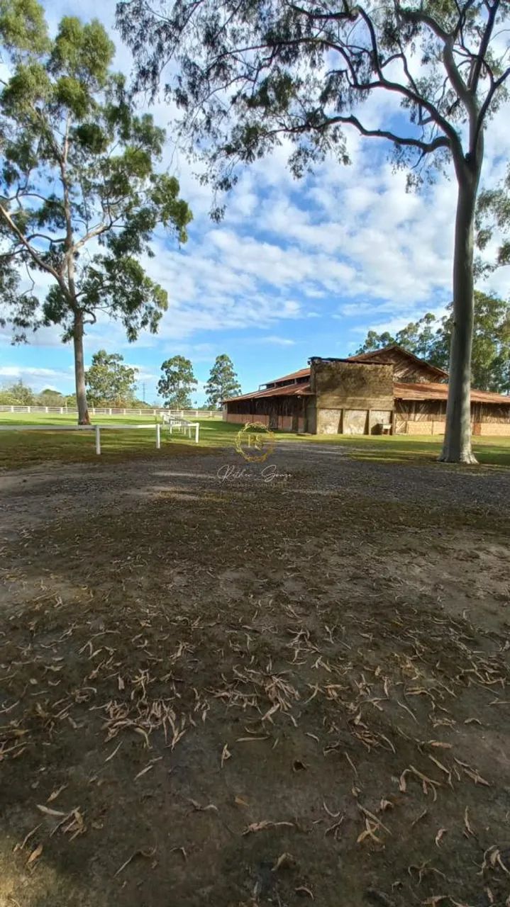 Sítio usado à venda em Nova Santa Rita, Porto da Figueira REF: CS0108 - Foto 11