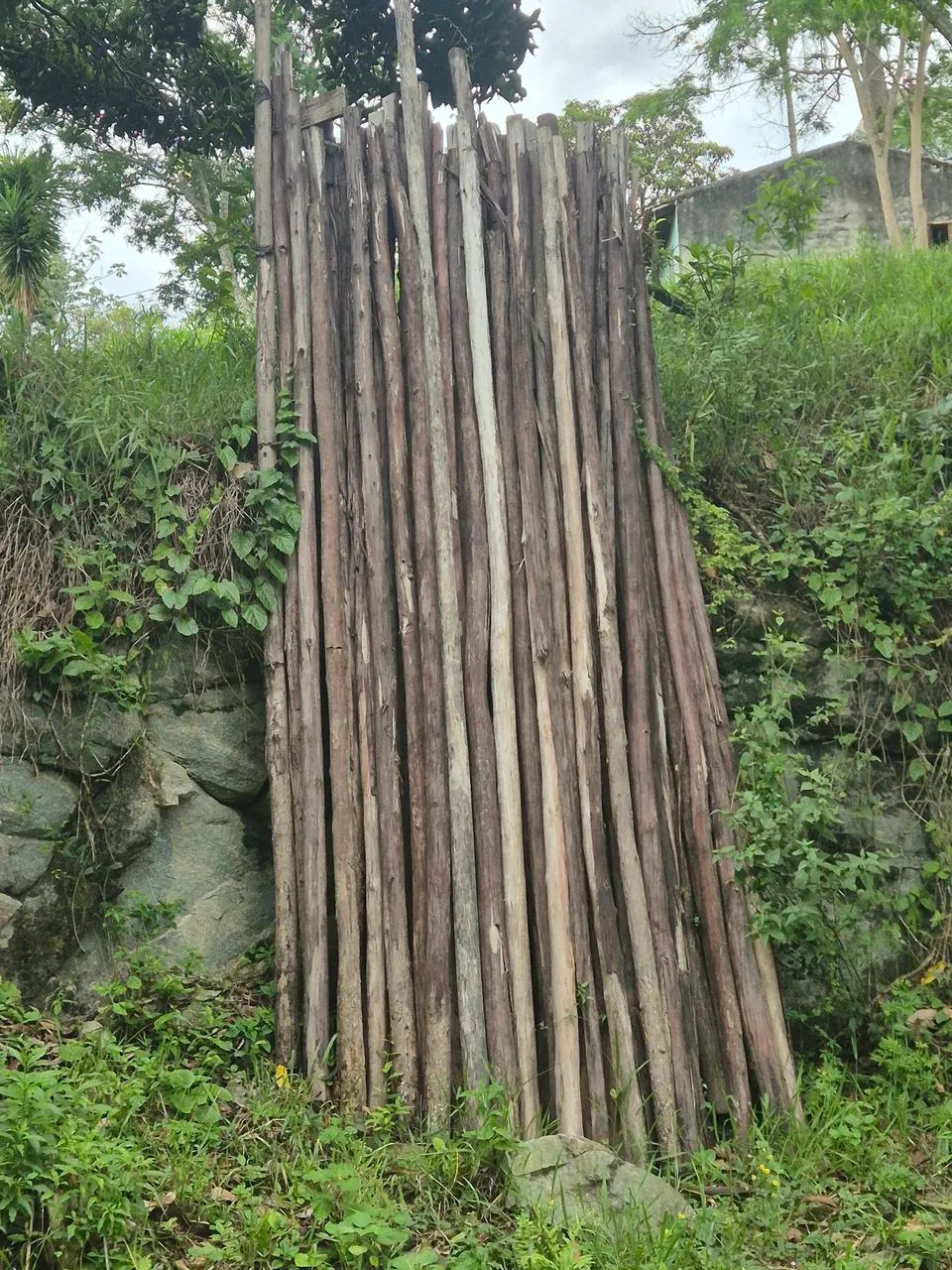 Pontaletes de eucalipto 64840811902849120