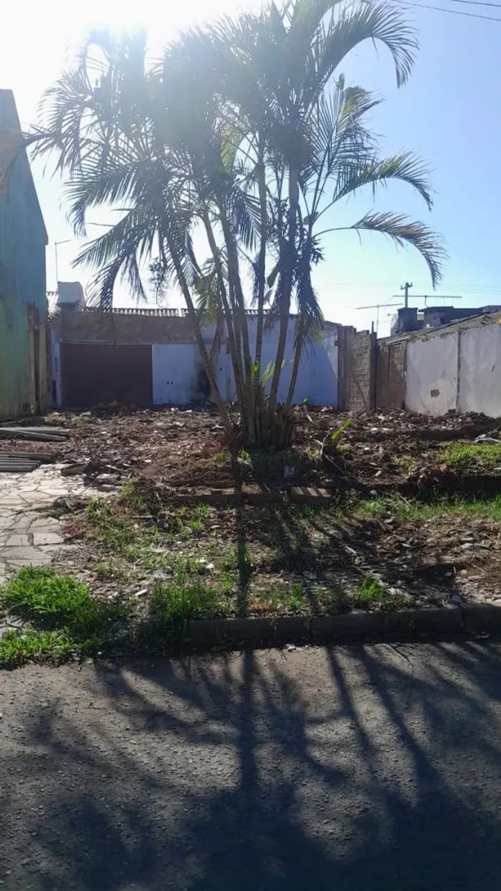 Foto - Cachoeirinha - Parque da Matriz