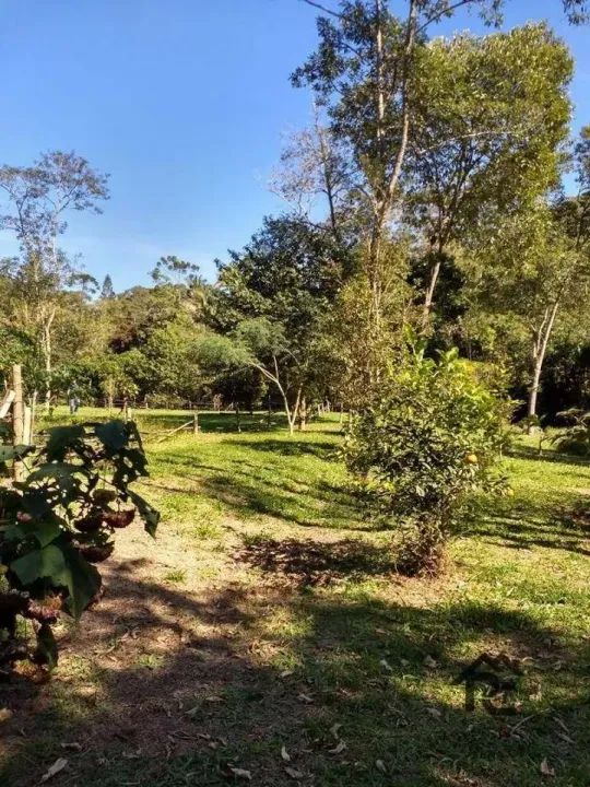 Sítio Rural à venda, Mury, Nova Friburgo - SI0012. - Foto 2