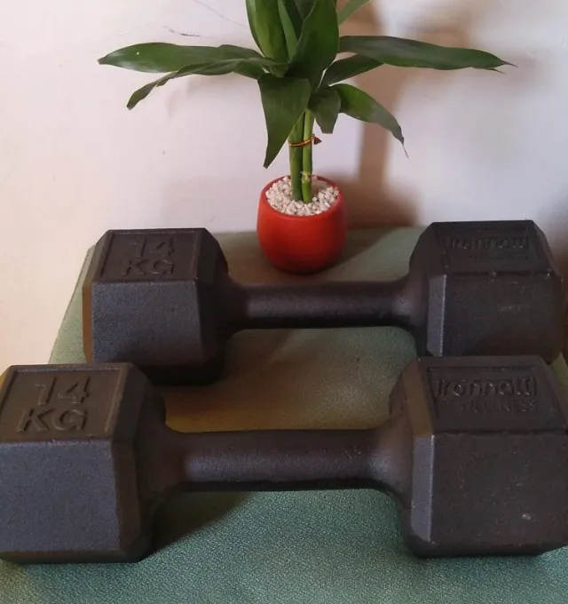 Par de halteres 14kg