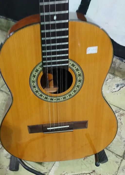 Viola Rozini profissional elétrica  na Musical Brother  - Foto 2