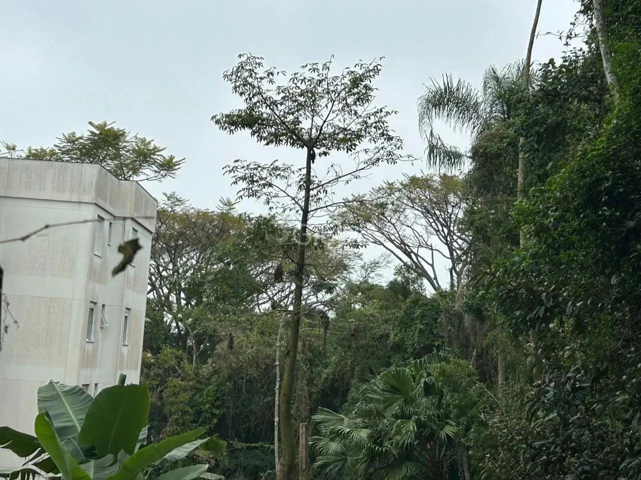 Terreno de 322m² em Coqueiros - Foto 4