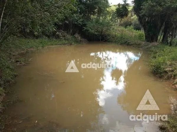 Chácara à venda 17545M², Centro, Palmeira - PR - Foto 5