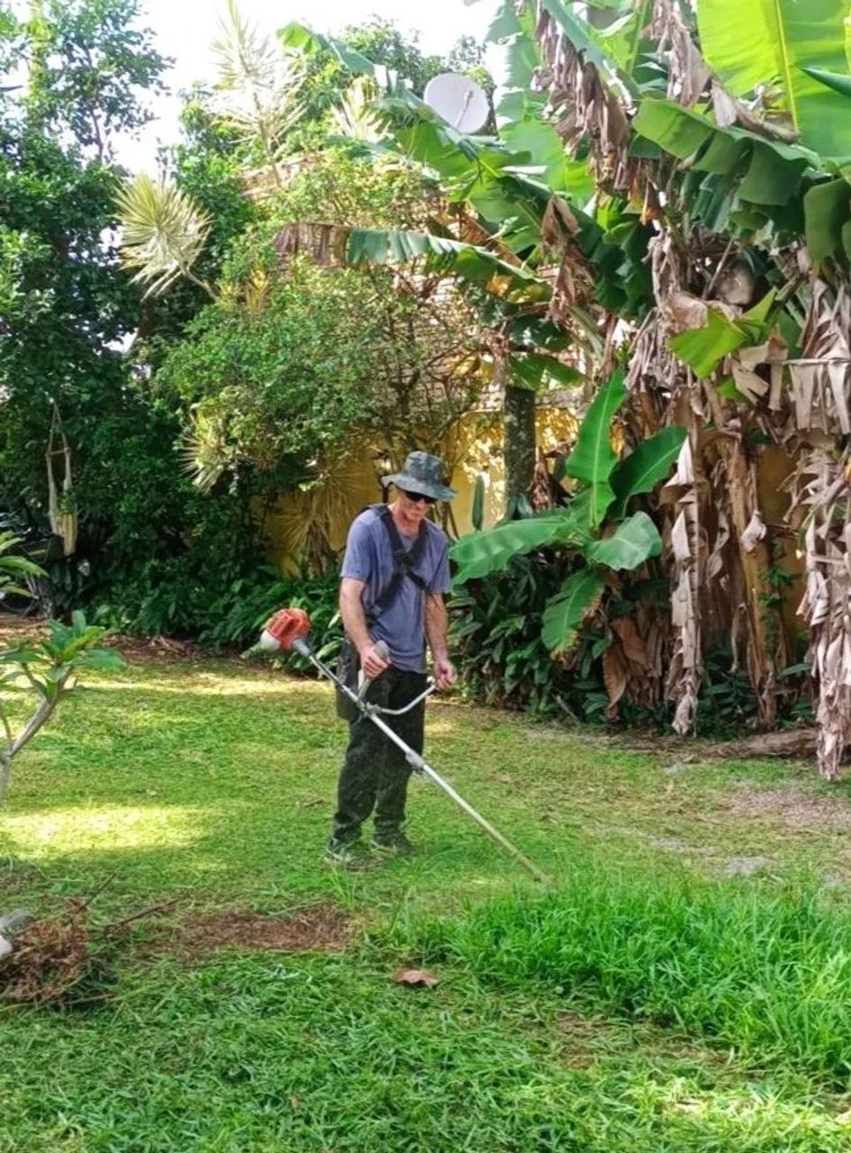 Serviço de jardinagem e limpeza de terrenos  - Foto 3