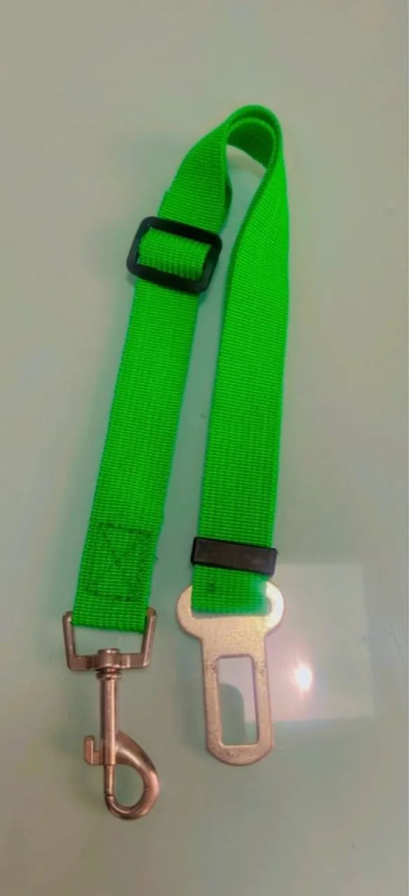 Guia para Cães - Segurança no Carro