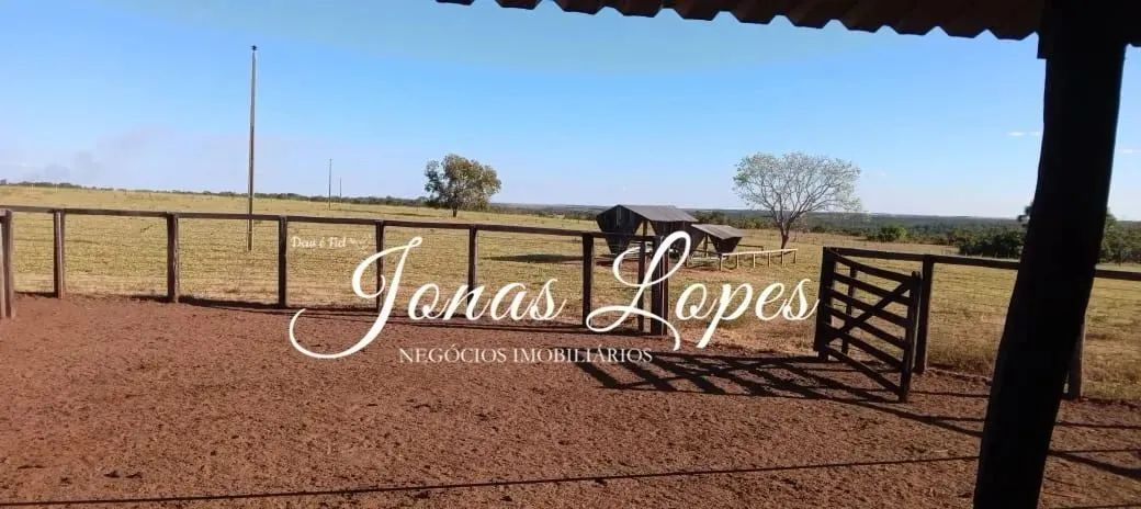 Fazenda 554 Hectares Pedro Afonso Tocantins - Permuta Fazenda Paraná - Foto 2