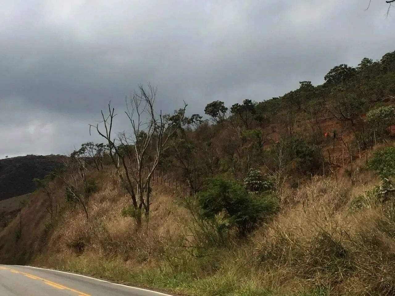 Chácara localizada no município de Barra Longa - Foto 4