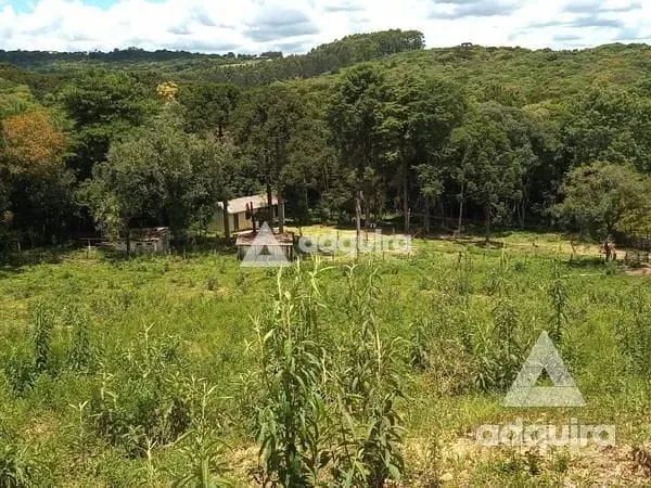 Chácara à venda 17545M², Centro, Palmeira - PR - Foto 3