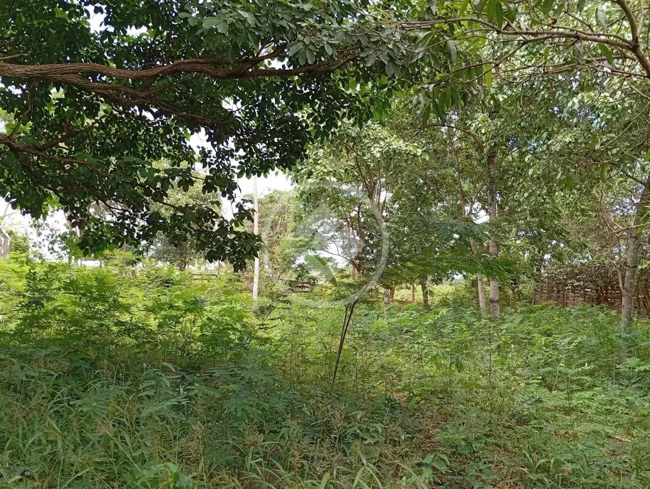 vende chácara na comunidade ninho das aguas em livramento, codigo: 95920