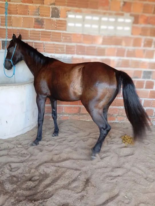 Só entro em contato se tiver interesse - Foto 4