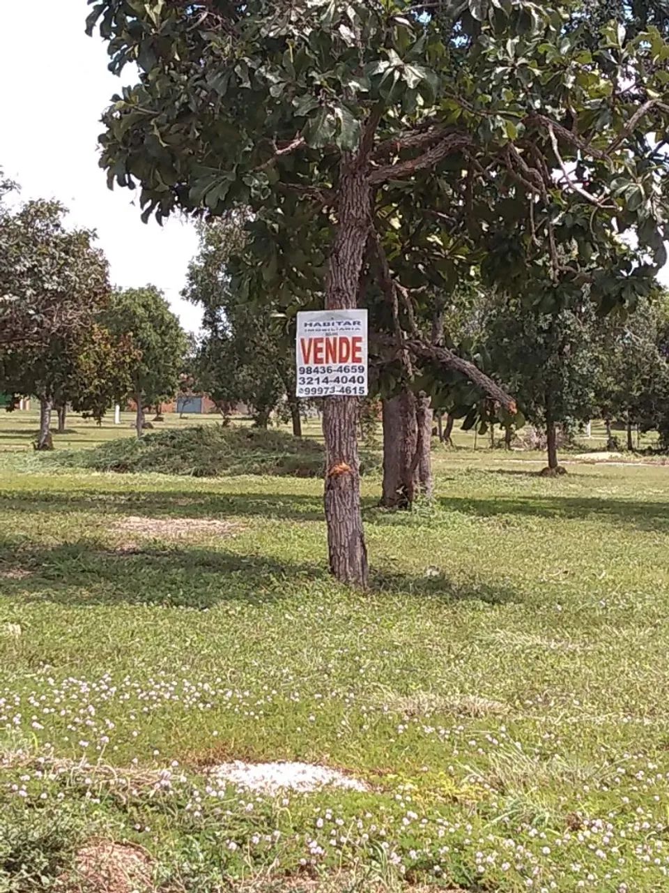 Lote residencial em Luzimangues