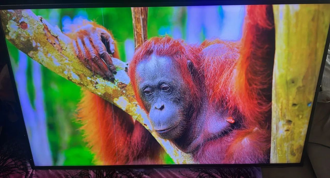 Tv smart Samsung Crystal 55 polegadas  - Foto 5