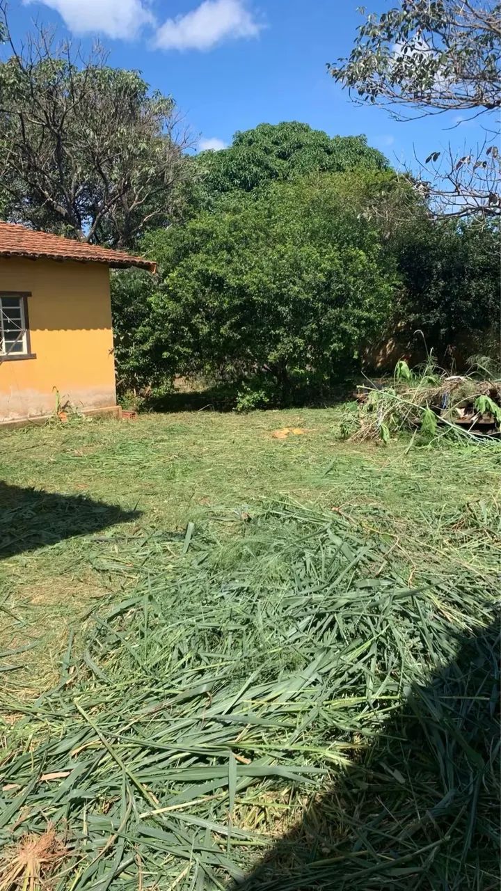 Limpeza de lote  - Foto 4