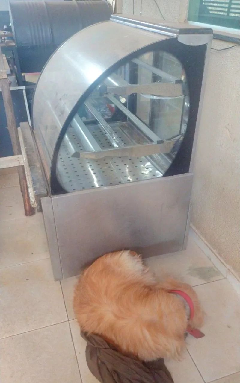 Vendo balcão mostruário 