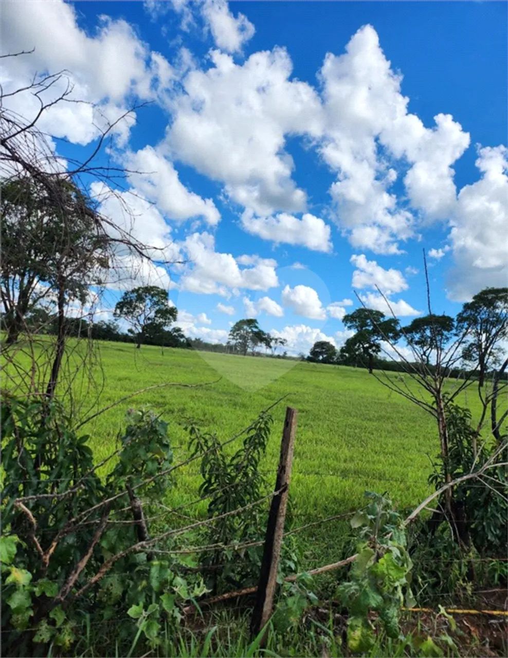 Sítio à venda em Sesmaria ouro - SP