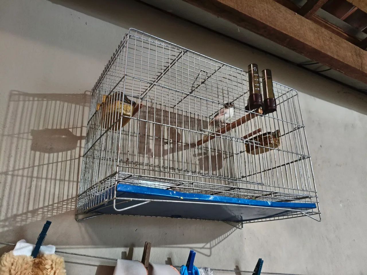 Gaiola boa 