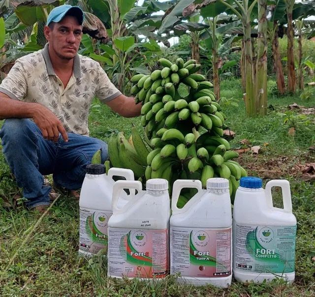 adubo foliar