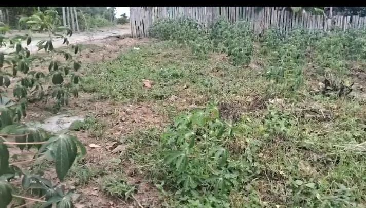 Vendo esse terreno 15×30 - Foto 2