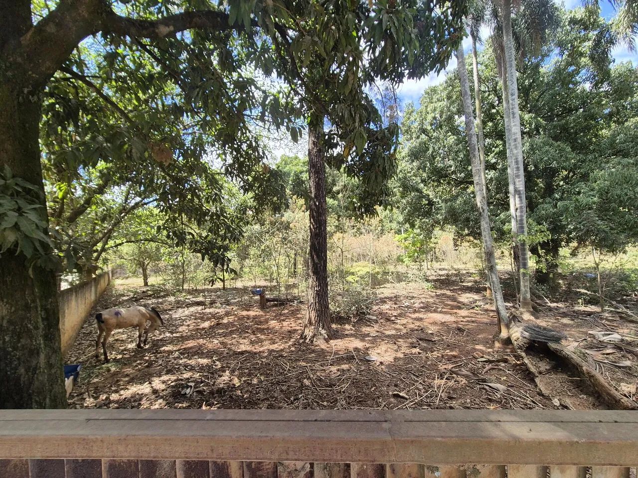 Terreno com área de 4.235m² - Araçoiaba da Serra SP - Foto 4