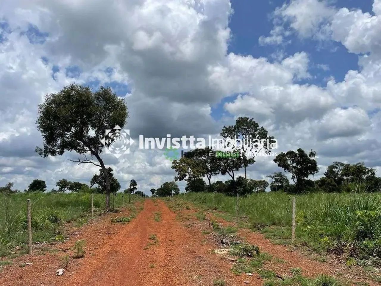 Fazenda de 117 alqueires com topografia plana em Divinópolis - Foto 4