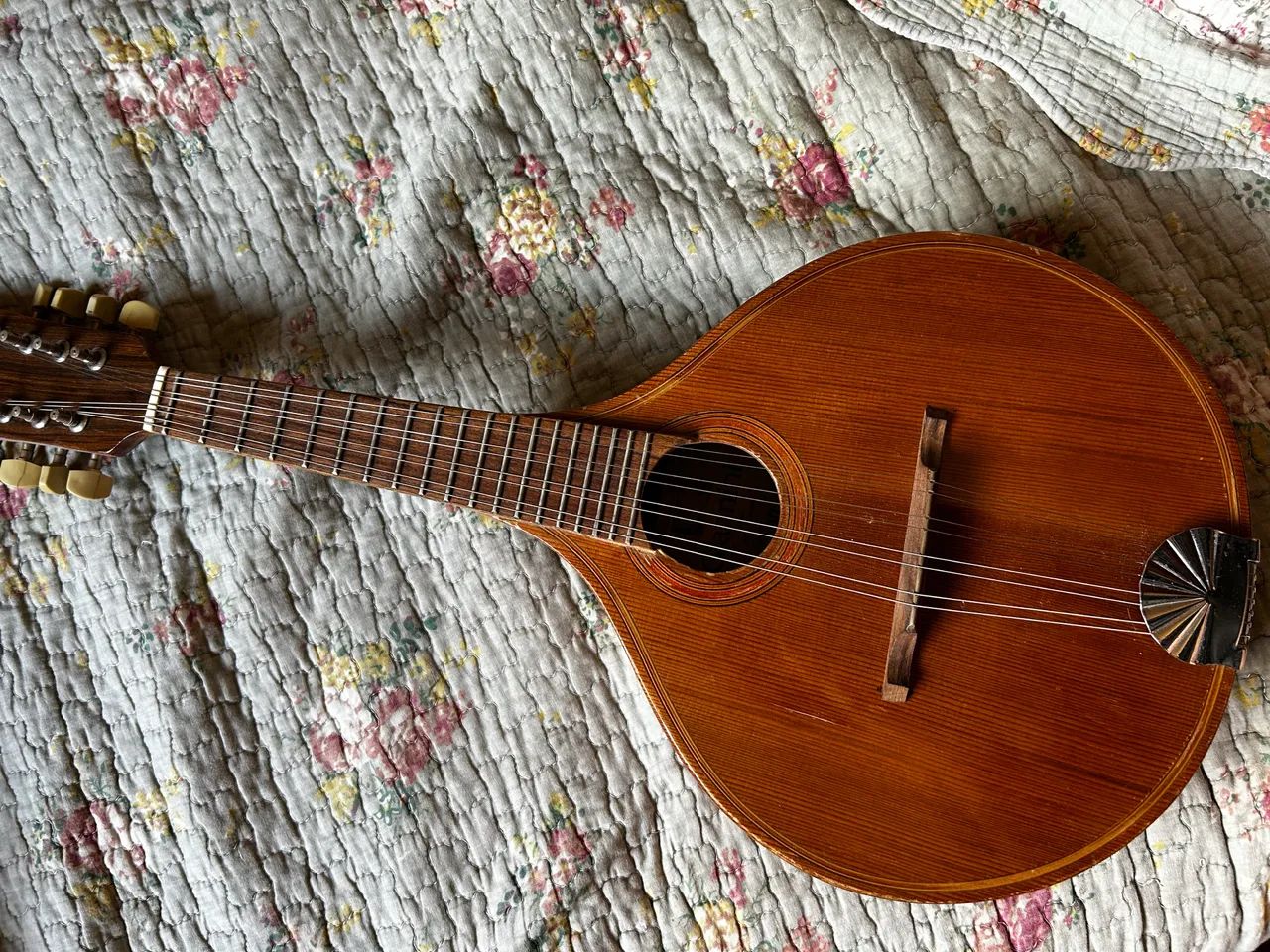 Bandolin Giannini raridade  - Foto 3
