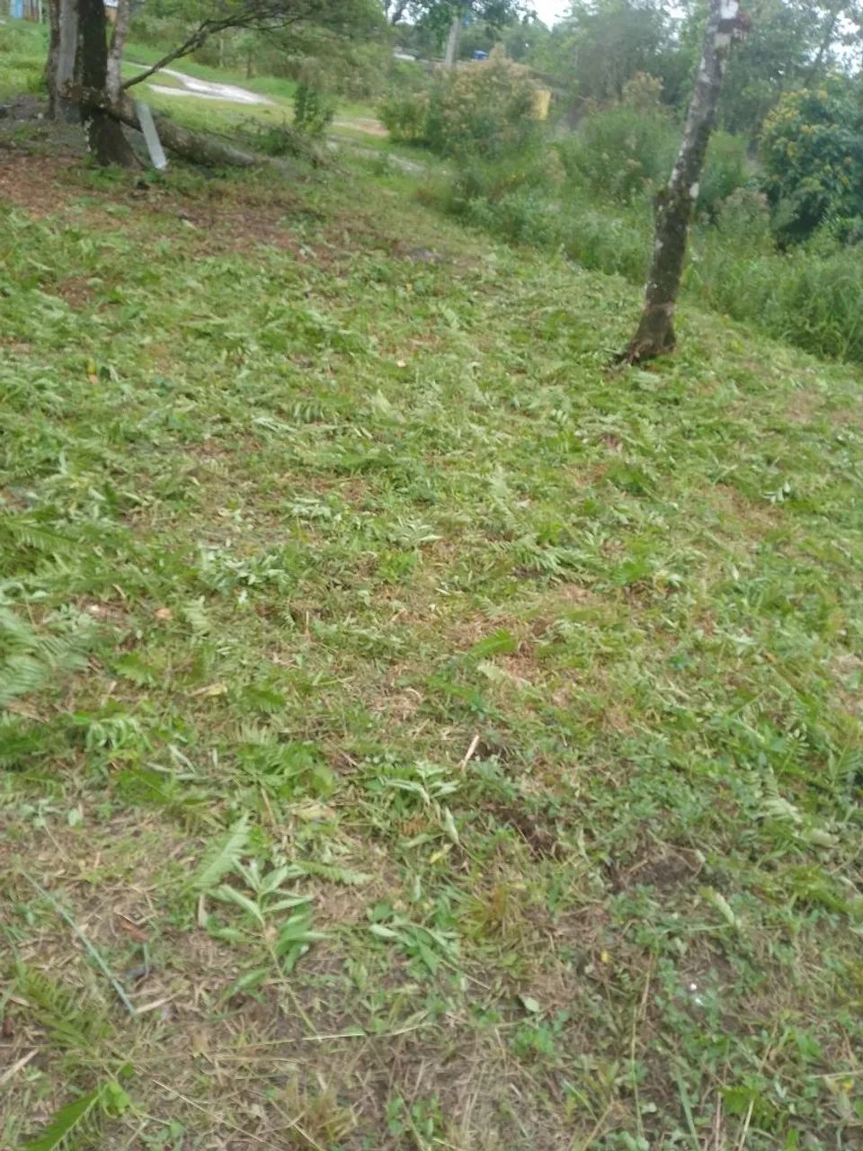 Vende-se terreno escriturado  - Foto 4