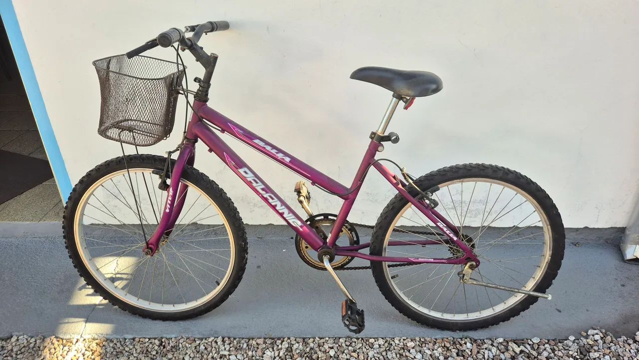 BICICLETA INFANTIL ARO 24 FEMININA