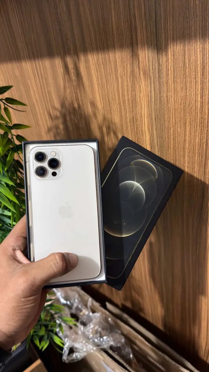 iPhone 12 Pro Max 256 Gb todo original - Celulares e Smartphones