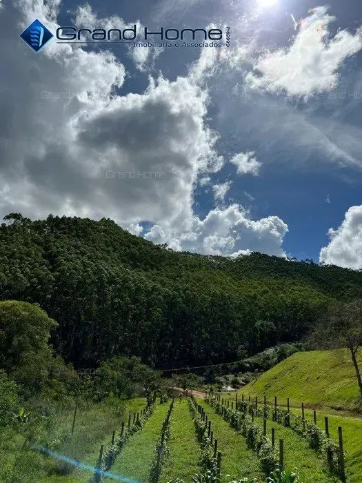 Fazenda em Centro - Foto 5
