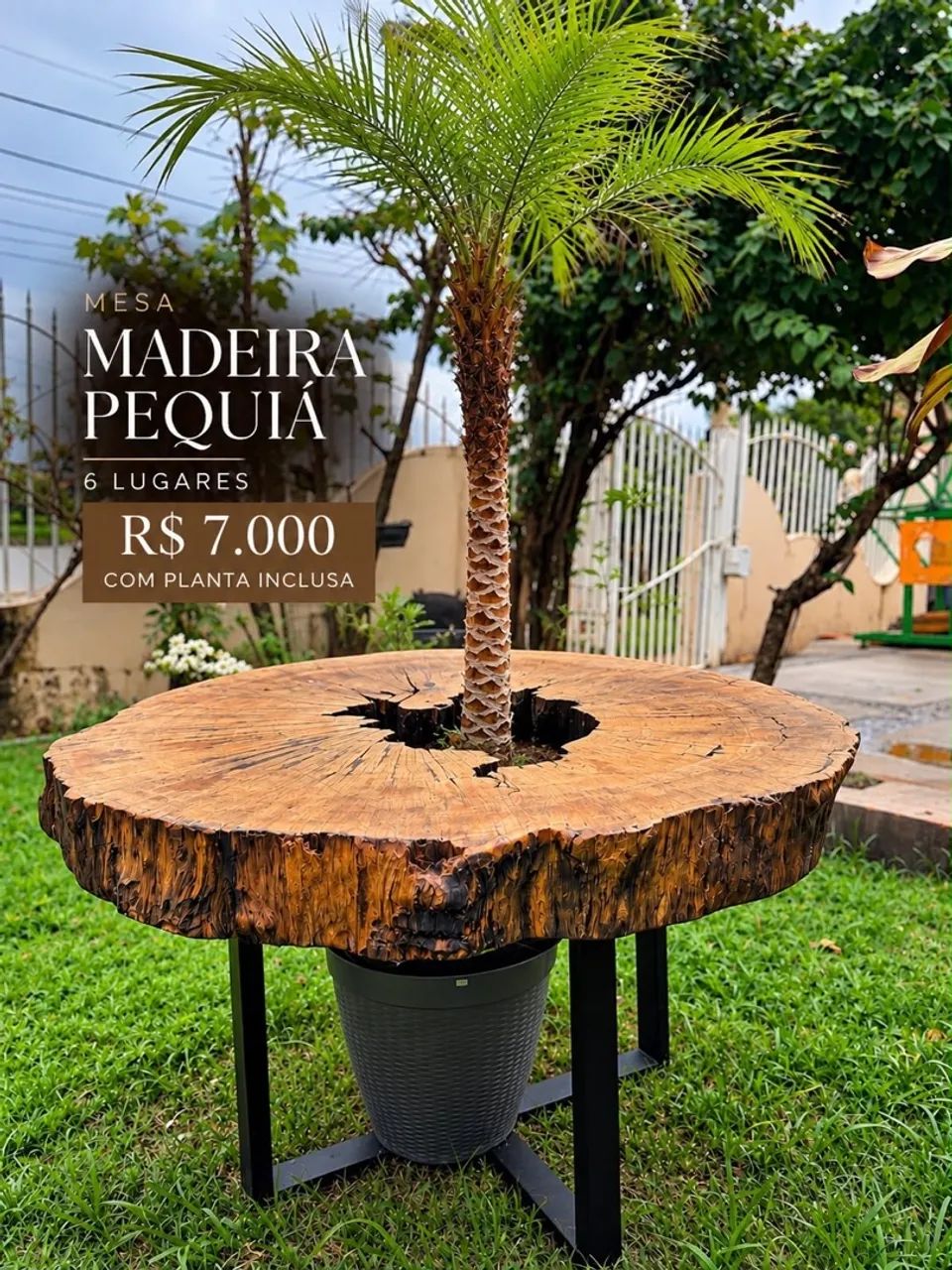 Mesa de madeira 
