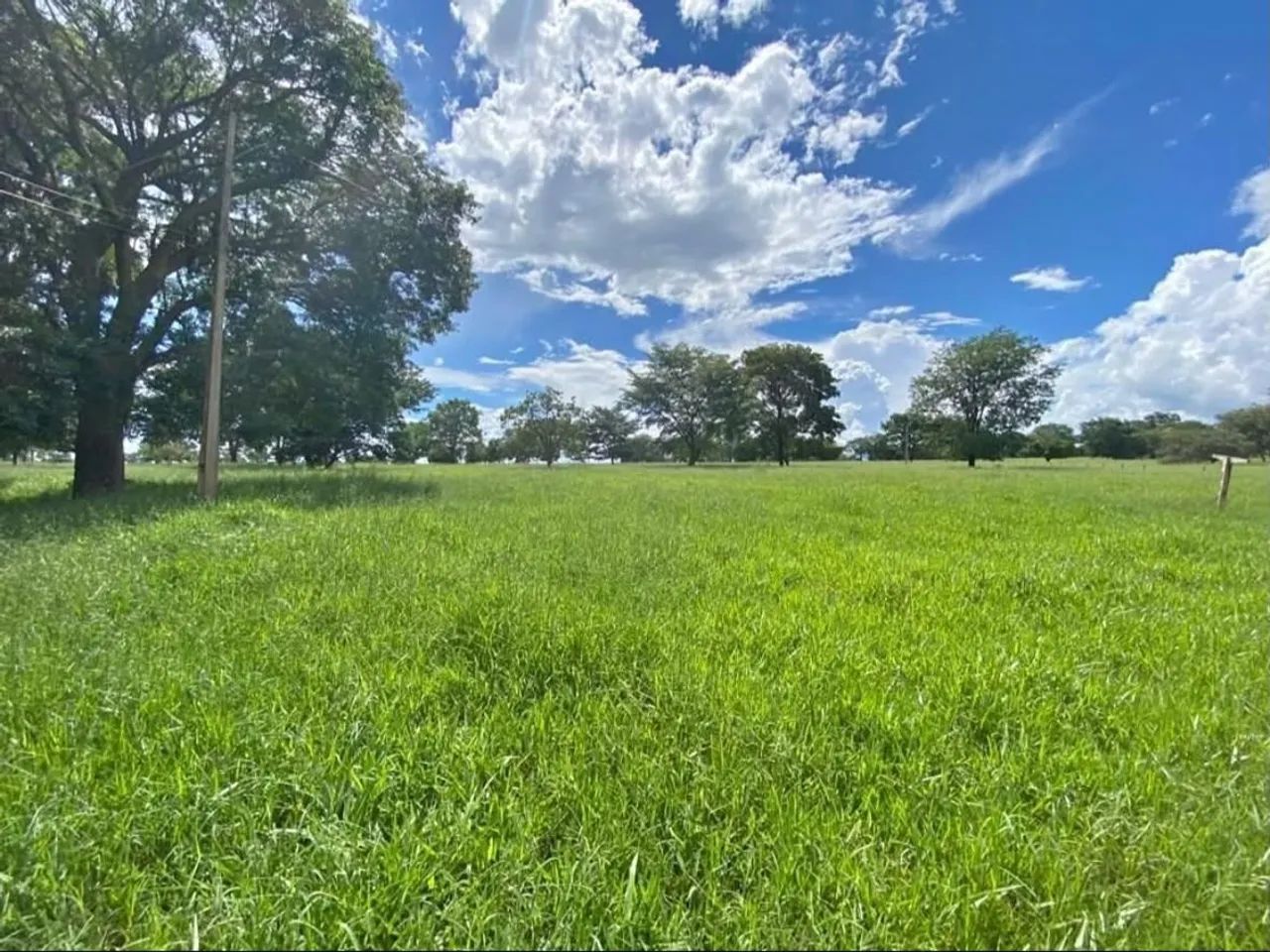 Fazenda na Transacreana - Foto 5