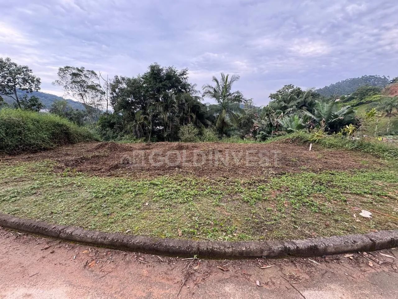 Terreno com 380,32 m² no bairro Steffen - Foto 4