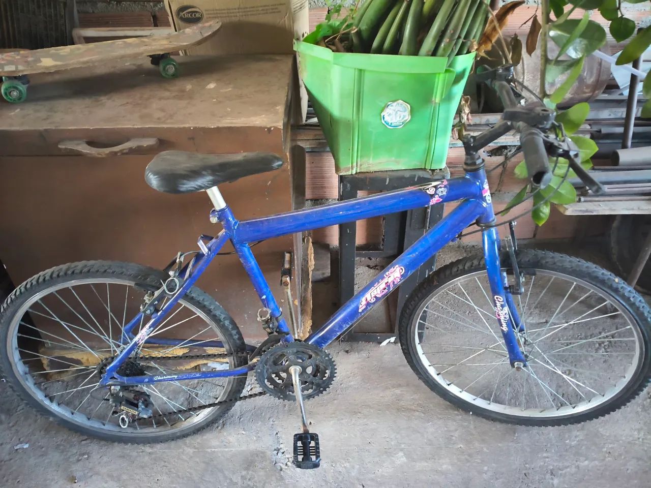 Bicicleta 