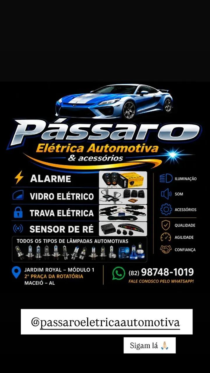 PASSARO ELÉTRICA AUTOMOTIVA 