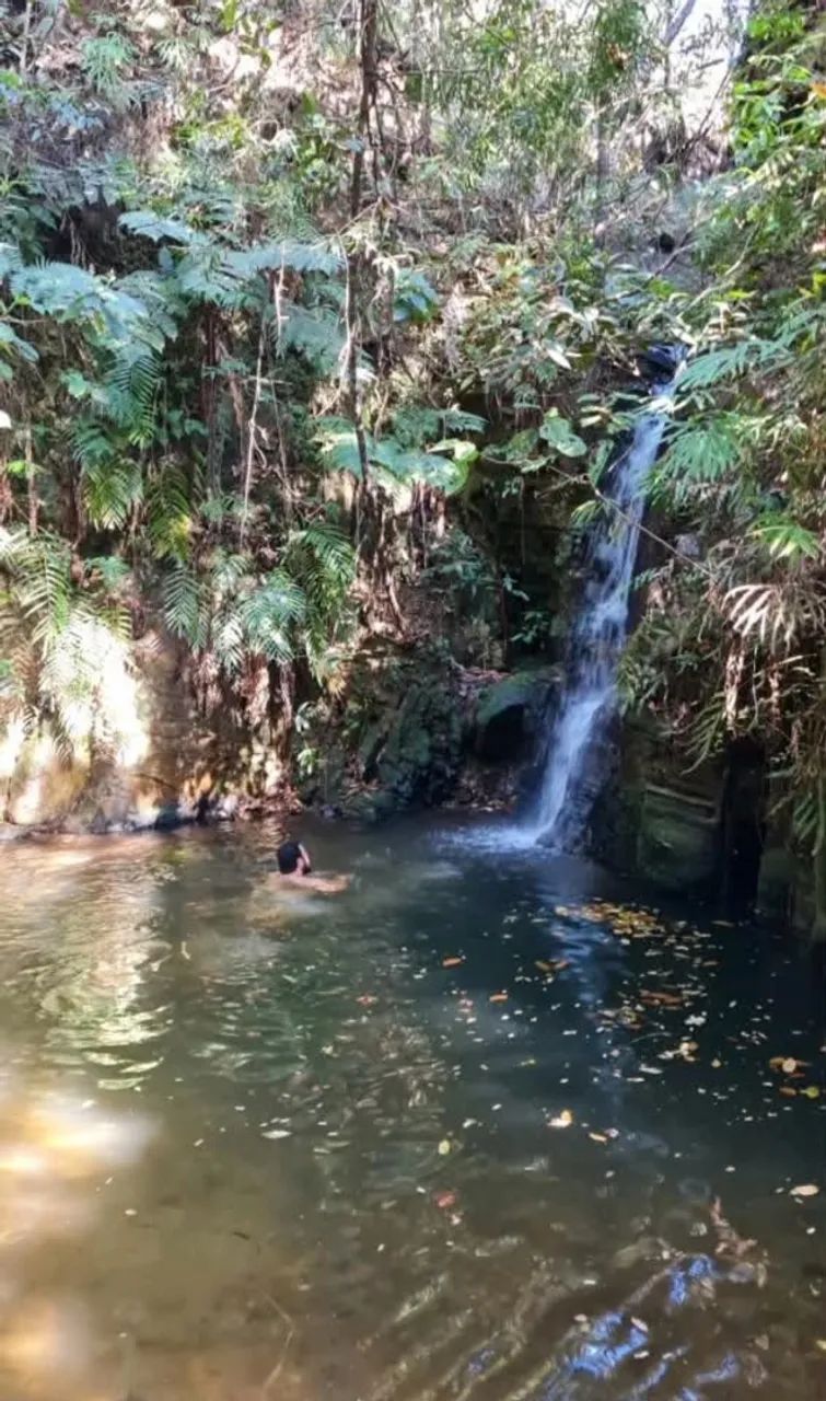 Chácara com Rio Ribeirão e cachoeira 