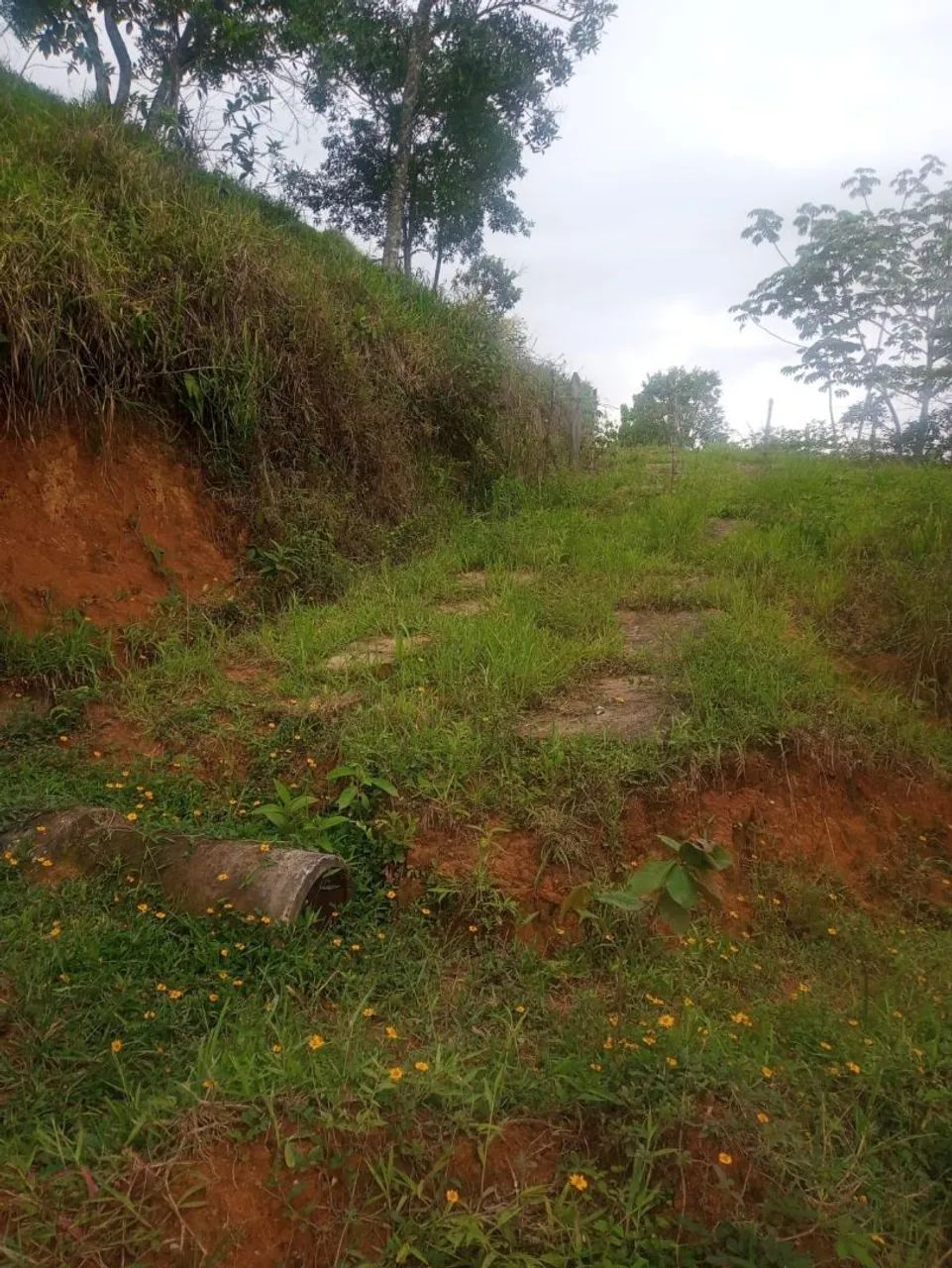 Chácara com 10.300m2  - Foto 4