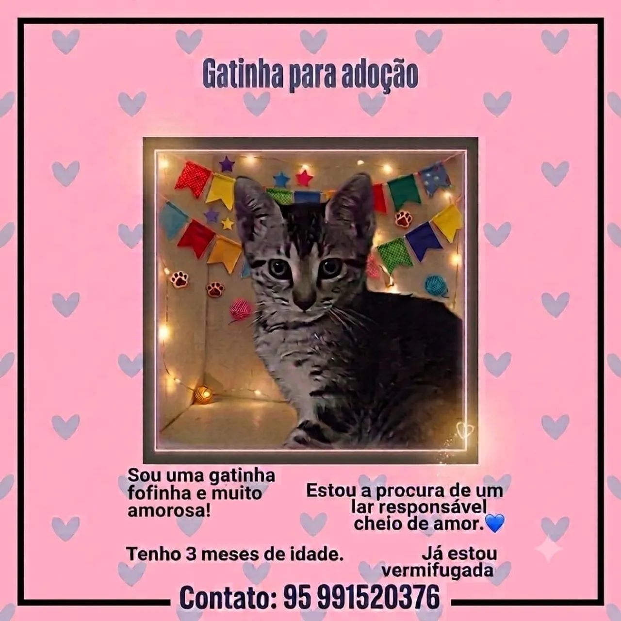 Gatinha para adoção 