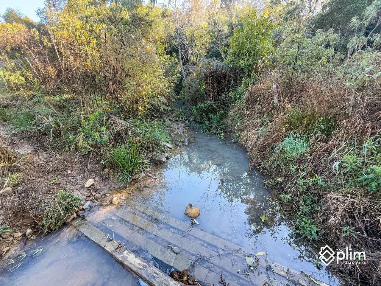 Sítio com 20 hectares em Alfredo Wagner  SC - Foto 4