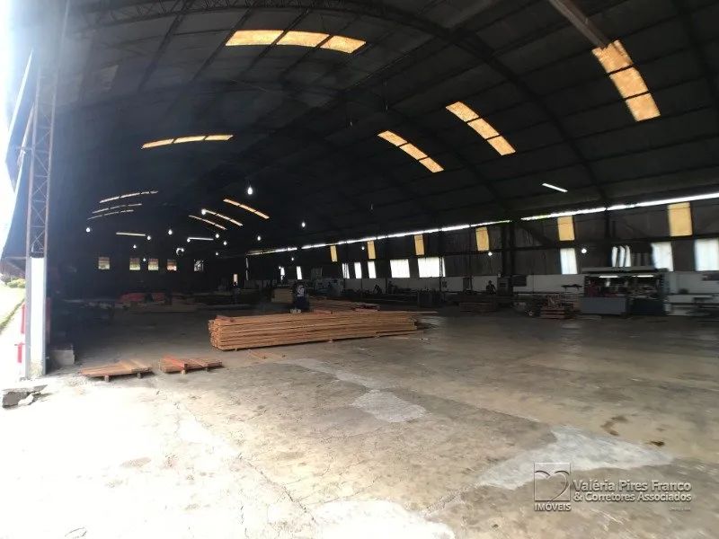 AMPLO TERRENO DE 28.000 M²!! - Foto 5