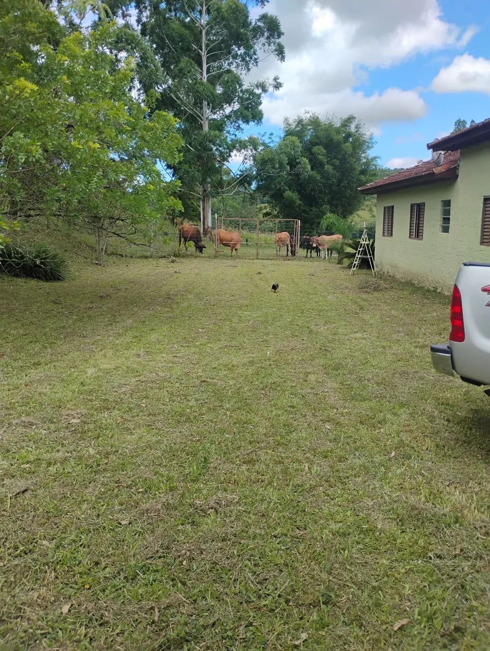 Sitio - Foto 4