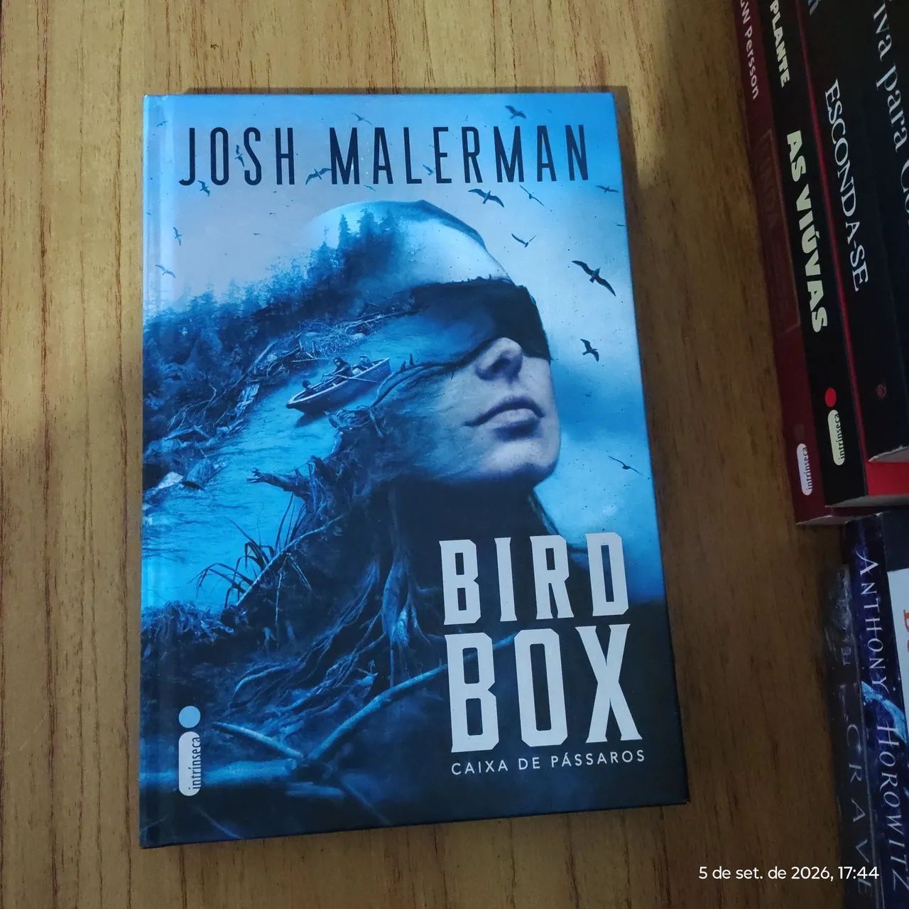 Caixa de Pássaros - Josh Malerman