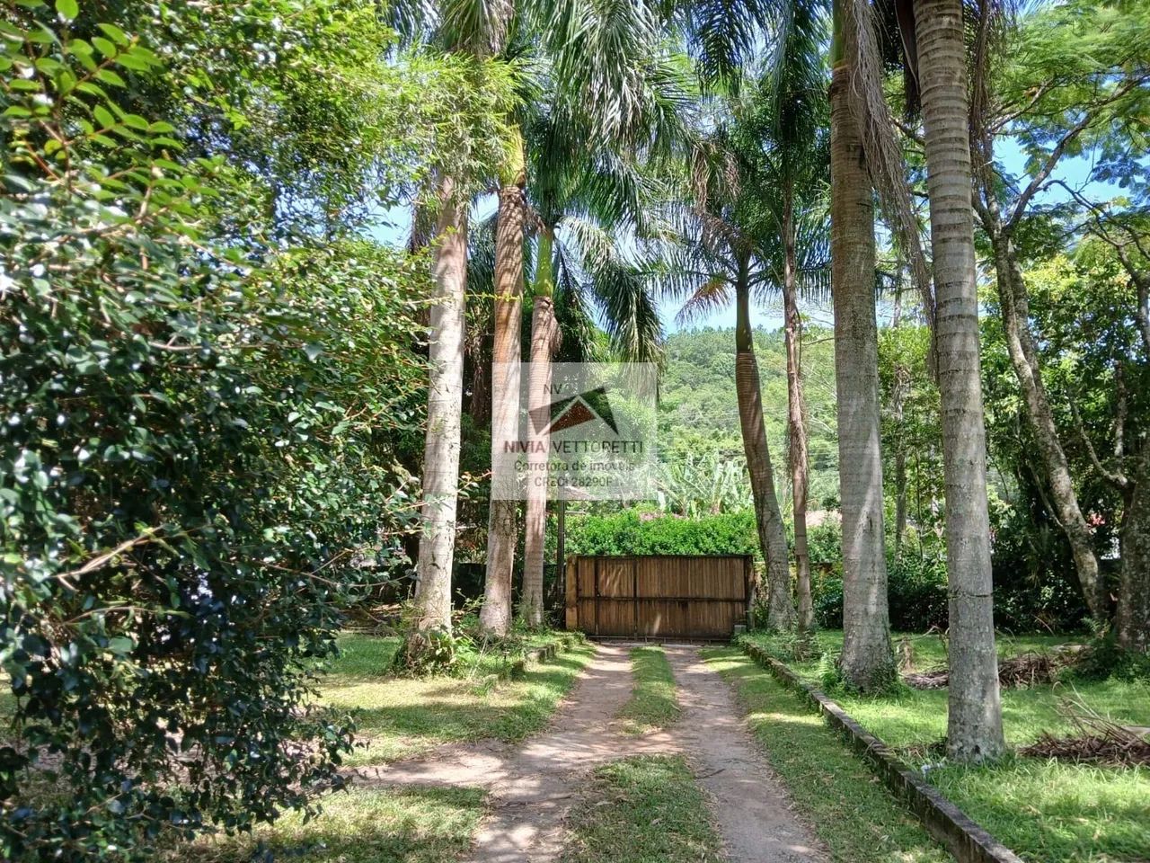 Sítio com 8.800 metros em Ratones! - Foto 3