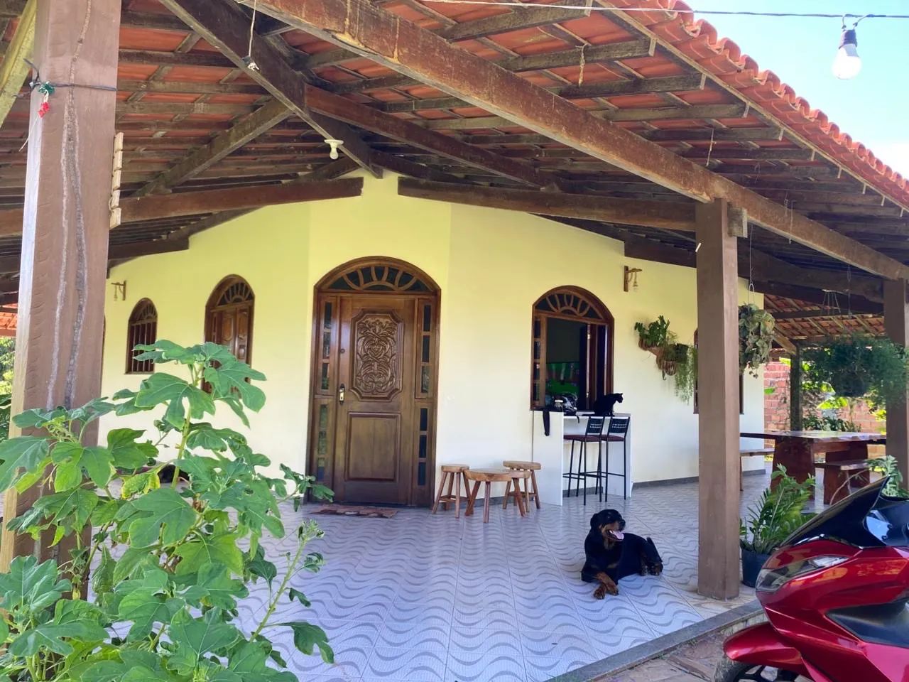 Sítio no mosqueiro com casa - Foto 5
