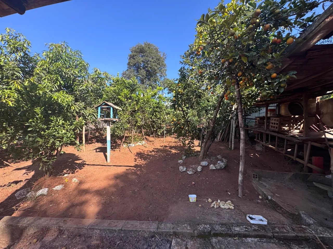 Oportunidade de linda chácara  - Foto 3
