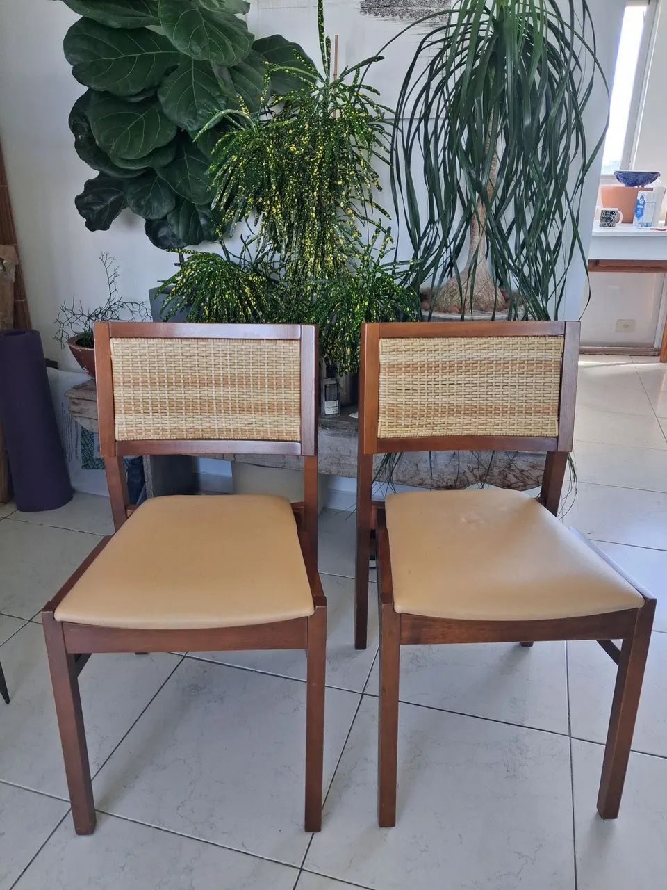 Cadeiras Franco e Bachout