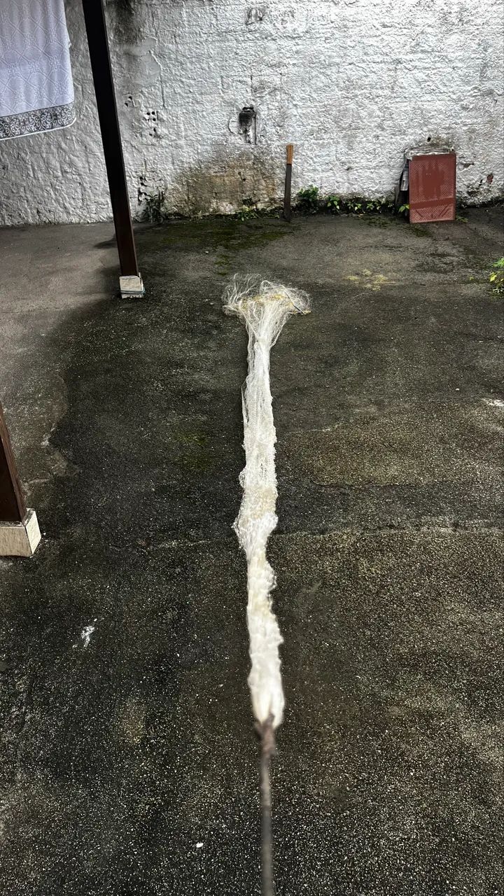 Tarrafa 