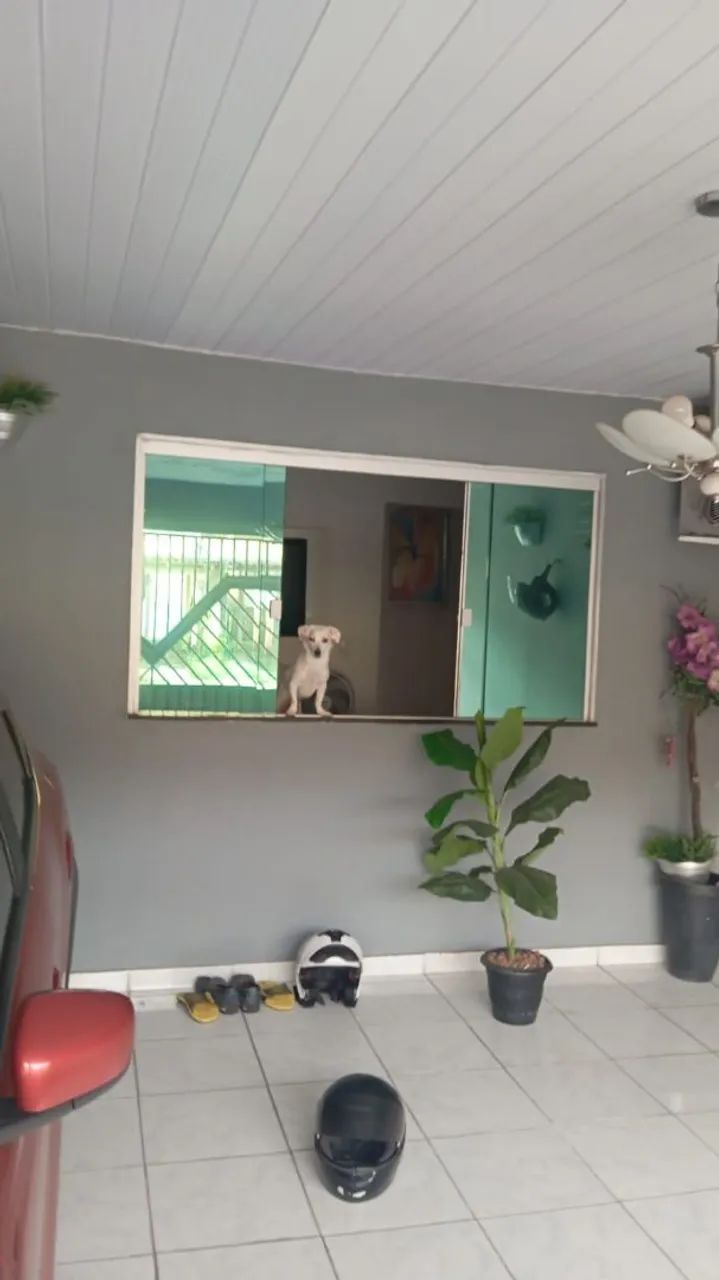 Linda casa no conjunto Catalina - Foto 3