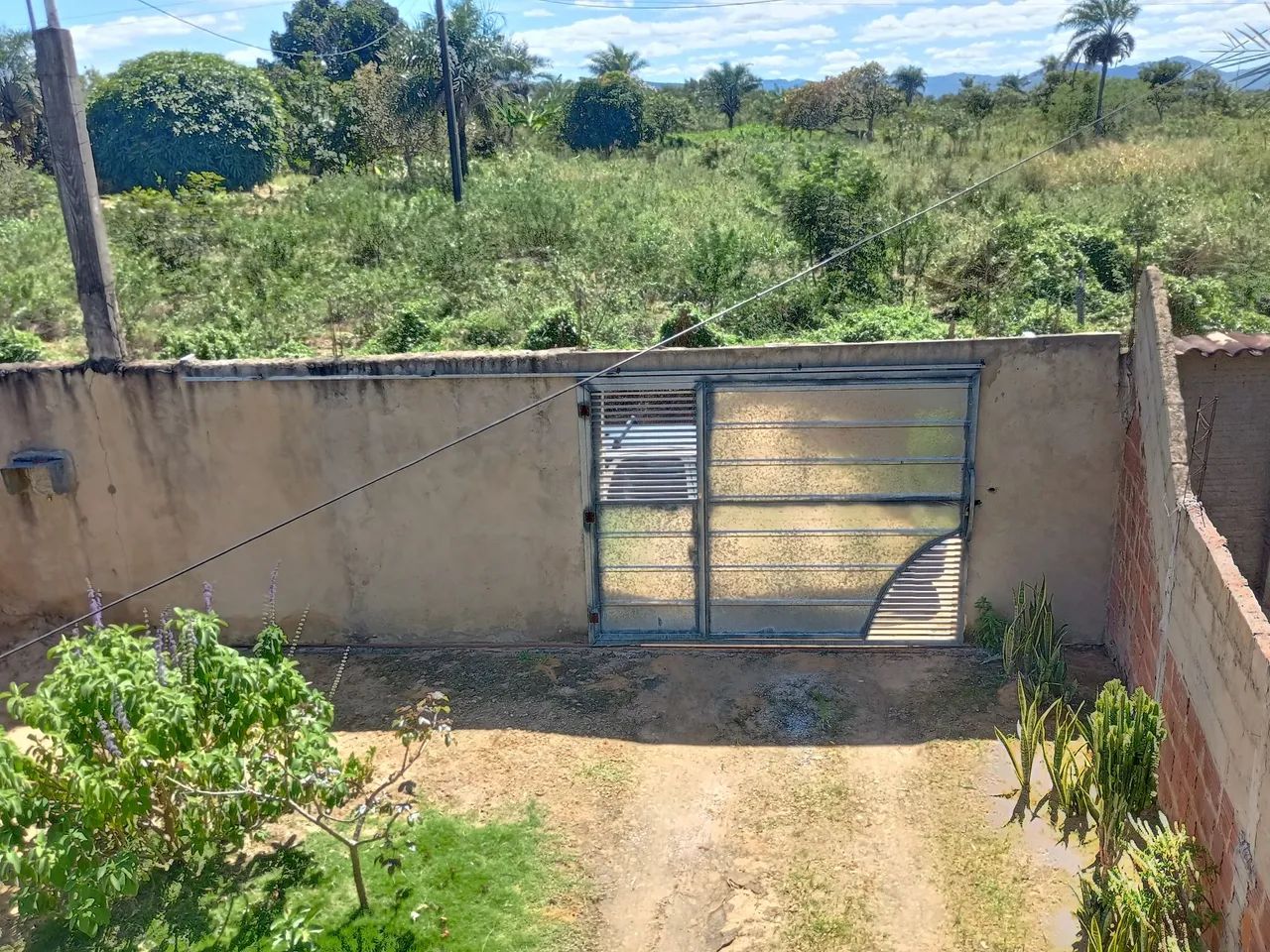Vendo um  mini sítio - Foto 2