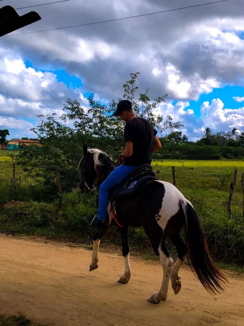 Cavalo  - Foto 4